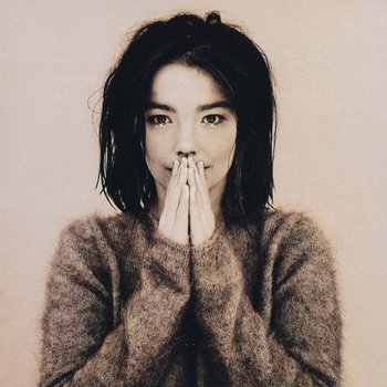 Bjork photo