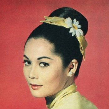 Frequently Asked Questions About Nancy Kwan BabesFAQ Com